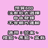 花束/果籃/禮籃/盆栽 預算HK$600 Flower bouquet / fruit basket / gift hamper / Plant budget HK$650 DBFP7