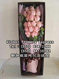 期待相伴-新加坡情人節訂花 SGPVADY601-19枝粉玫瑰禮盒 Singapore delivery flowers